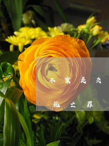 本案是交通肇事罪還是過(guò)失致人死亡罪？